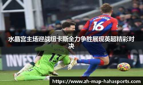 水晶宫主场迎战纽卡斯全力争胜展现英超精彩对决