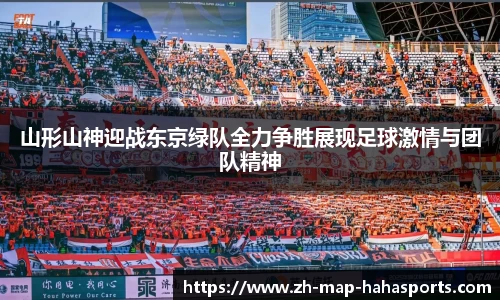 哈哈体育平台